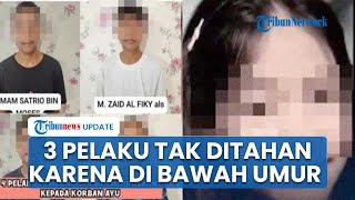 Nasib 4 Bocah Pelaku Pembunuhan & Rudapaksa Siswi SMP di Kuburan Cina Palembang, Tidak Ditahan?