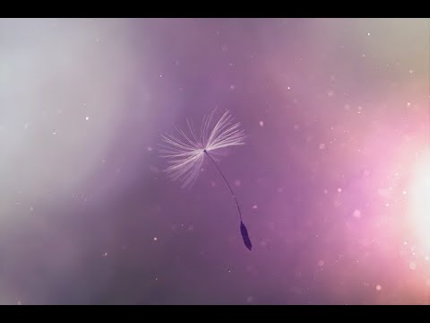 Wunschpartner Liebesorakel live