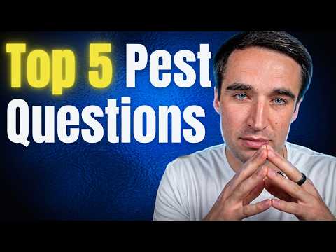 Marketing Strategies for Pest Control