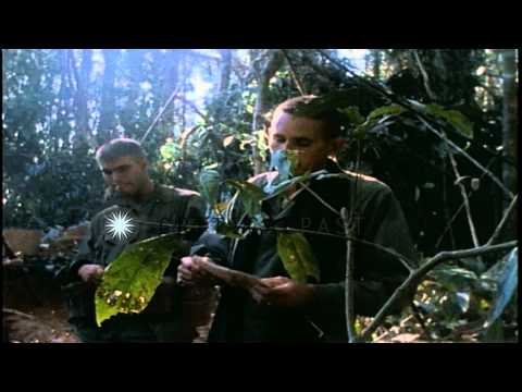 United States soldier and John P Trop assault on Hill 875 South West of Dakto in ...HD Stock Footage