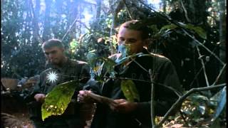 United States soldier and John P Trop assault on Hill 875 South West of Dakto in ...HD Stock Footage
