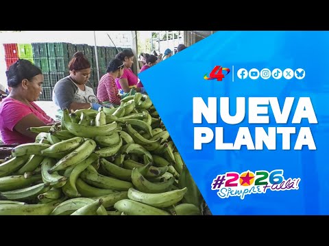 nauguración: nueva Planta Procesadora de Plátanos en Rivas 2025 🏭
