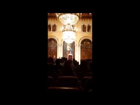 Der gute Glaube, Vanini - Iva Islambegović