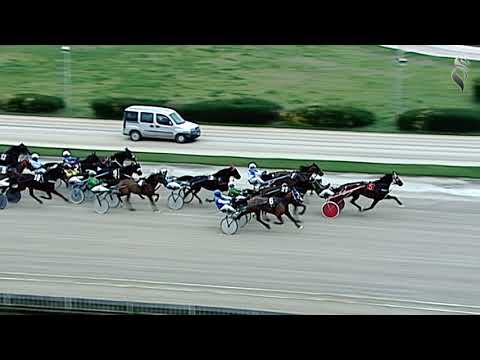 Aversa trotto 10 Febbraio 2021 - 7° Corsa