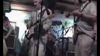 The Stags - Evolution Revolution