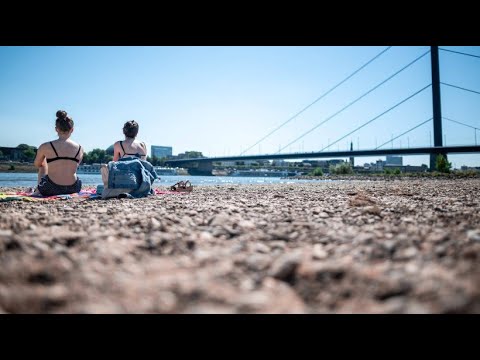 Sweating at 37 degrees: Midsummer impressions from Düsseldorf