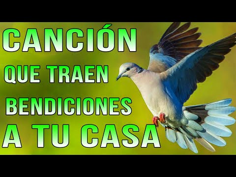 LA CANCIÓN CRISTIANA MÁS HERMOSA DEL MUNDO 2023 - CANCIONES QUE TRAEN BENDICIONES A TU CASA