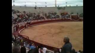 preview picture of video 'Surprising Acrobatics at Bull Ring'