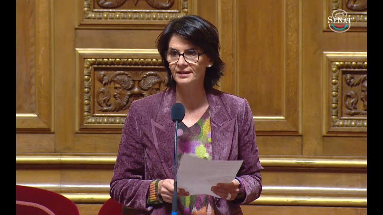 Question Orale - Conséquences de la réforme de la taxe d’aménagement pour les CAUE