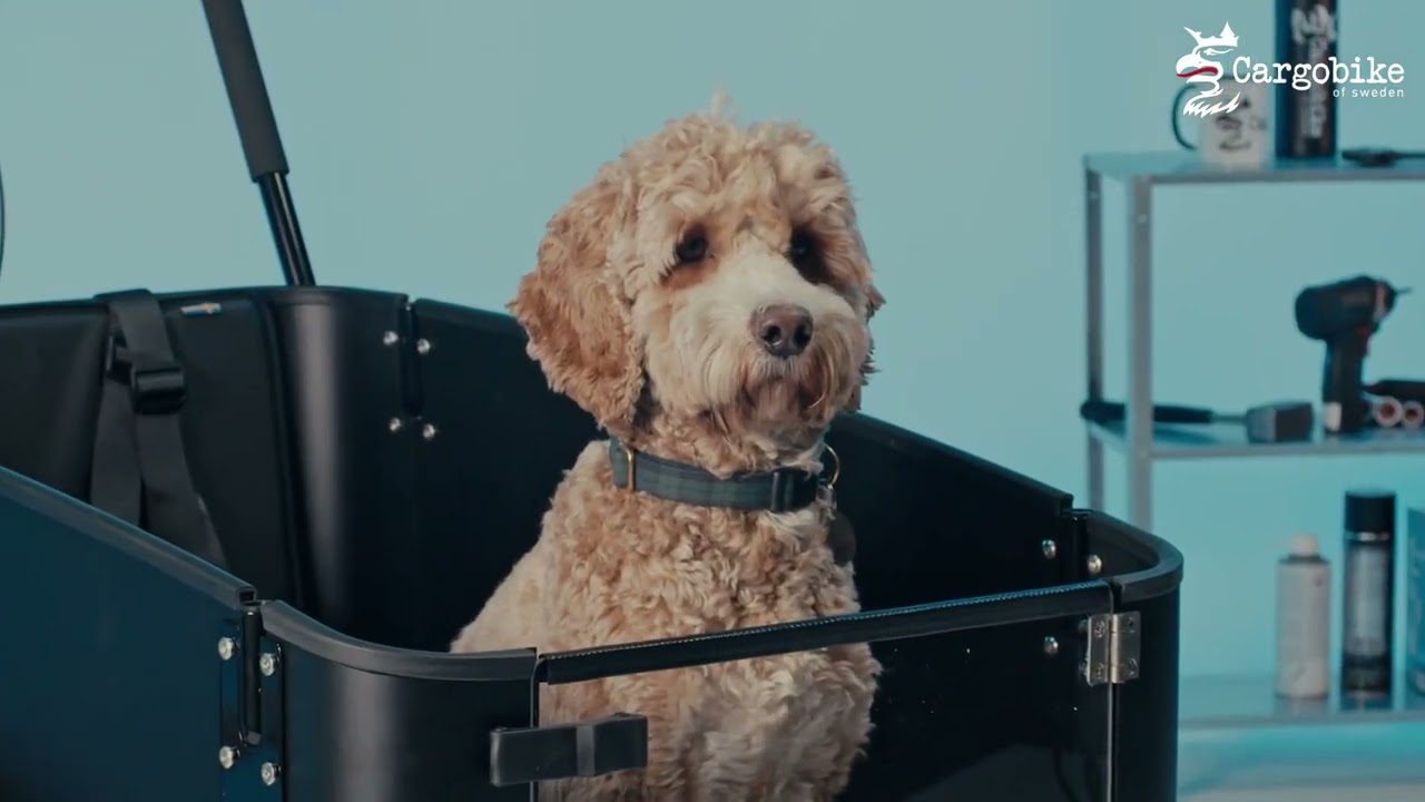 So öffnet man die Klappe an den Cargobike Dog-Modellen