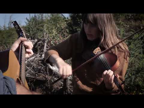 The Brushy Forks of Lucas' Beard - The Horsenecks