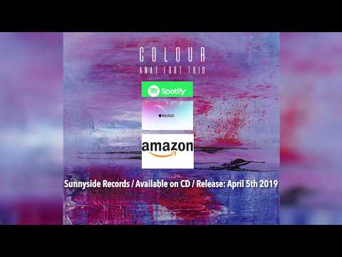 Colour - a new album by Anat Fort trio is available now!