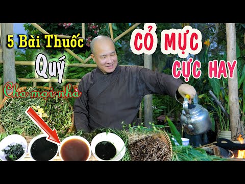 Công Dụng của cây Cỏ mực