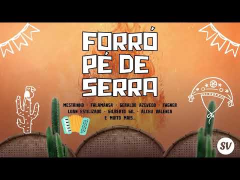 Forrozando a noite toda   Sucessos que não deixam ninguém parado!