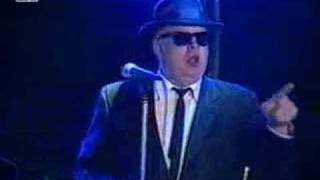 Blues Brothers Band - Going back to Miami