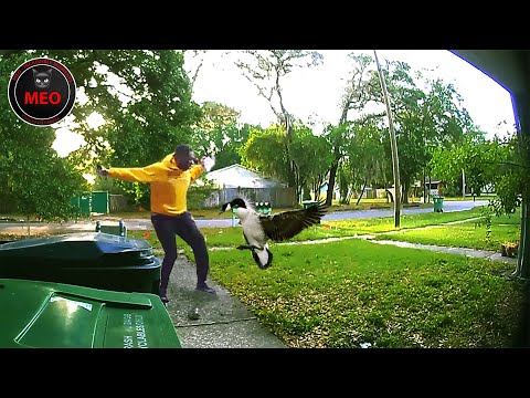 Moments When Things Went Wrong | Best Of Month