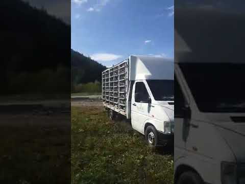 Lansare etapa Darabani (Brodina Suceava din cauza cetii) 28.09.2019 ora 12:00.