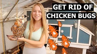 Get Rid of Chicken LICE and MITES the BEST Way with ONE TREATMENT! Elector PSP
