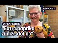 Aly is een beroemdheid in de caviawereld | RTV Oost