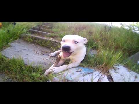 PICO FT PABLO T. -JÚZGAME (VIDEOCLIP)