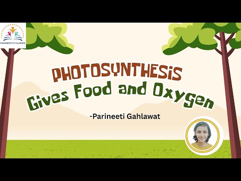 "How Photosynthesis Gives Us Oxygen & Food 🌿 | Parineeti’s Classes | Science Made Simple!"