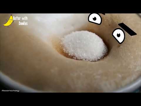 Secret World of funny stuff - BEST Compilation by Moonchay