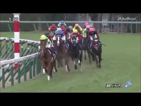 朝日杯フューチュリティステークス2018