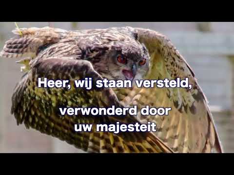 Opwekking 872 Wonderlijke kracht