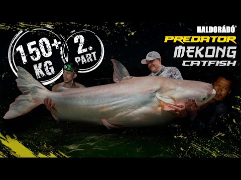 Döme Gábor - LEGENDÁS HARCSÁS VIZEKEN 9. rész - Ázsia legnagyobb harcsája 2. epizód