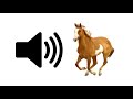 Horse Sound Effect
