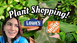 SO MANY HANGING BASKETS 😲🪴 diamonds in the rough at Lowe's & Home Depot in Bloomfield CT 💕