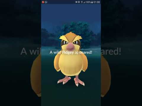 Pokemon Go!! Choquei 8 ovos de 10km, vejam o que aconteceu!!