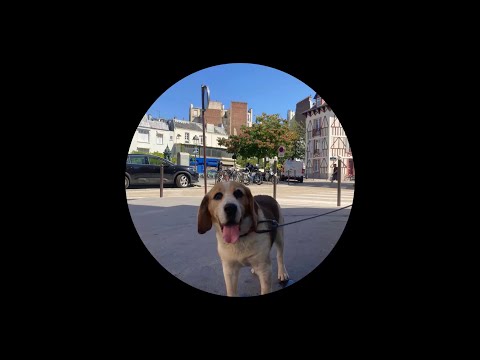 First Time In Paris! 🐶🥰❤️/ Electro Funky Mix by AKIRO