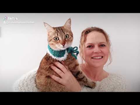 Tinkering with belle - Happy Holidays Peter Pan Cat Collar