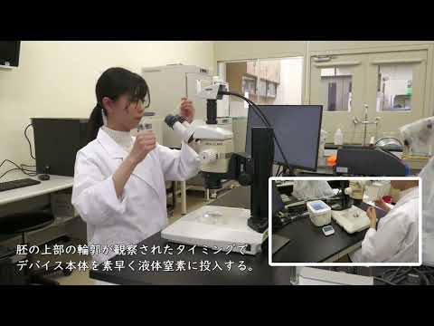 獣医学科 牛ガラス化胚の新規移植法開発・実用化事業（②ガラス化凍結保存方法）