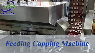 Huibao Automation-Elevator Caps Feeder Cap Feeding Machine Waterfall Feeder for different Sizes Caps
