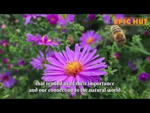 Bees in many spiritual and cultural beliefs around the world | Epic hut |