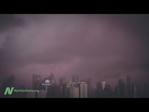 Fever Benefits for Autism in a Food