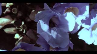 Sueño Eterno - Dorian