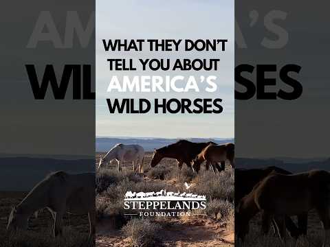 Eat Horse reel preview