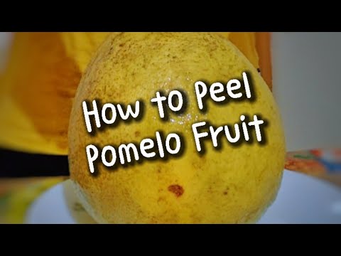 HOW TO CUT POMELO FRUIT 🍈 | Fruit Ninja 😎🔪 | Jambula | Bamblimass