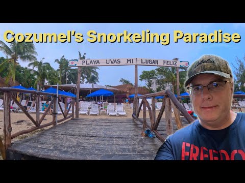 Cozumel Playa Uvas - Everything You Need To Know Before You Go