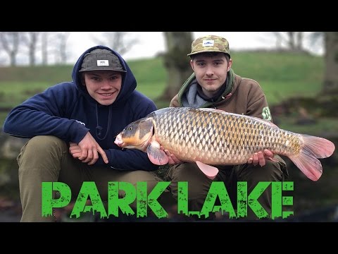 URBAN CARP FISHING: The Park Lake