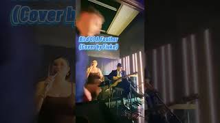 Download lagu Bird Of A Feather (Cover by Fluke) #fluke mp3 Download lagu Bird Of A Feather (Cover by Fluke) #fluke mp3