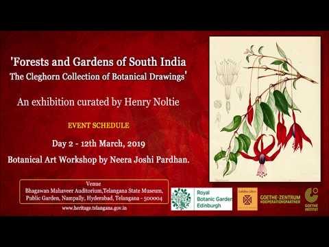 The Special Art of Botanical Illustrations