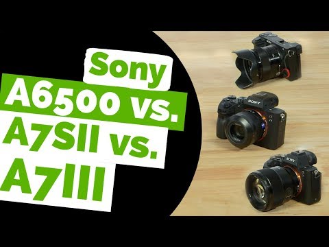 Sony a7III vs a7sII vs a6500 Review: Best Mirrorless Camera for Video? (Reasons to Upgrade to a73)