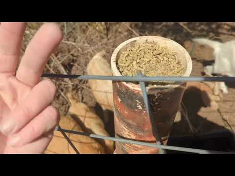How To Simple Automatic Livestock Feeder. Goats, Sheep, Cows, Deer. Offgrid Organic Homestead Farm.