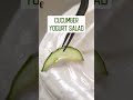 Apni body ko internally hydrate kariye is kheere aur dahi se bane salad ke saath!! 🤍💚 #shorts - Video