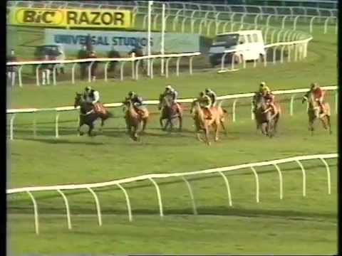 1990 Top Rank Christmas Hurdle
