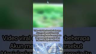 Download lagu remaja hadang truk dwmi konten akhirnya tewas mp3